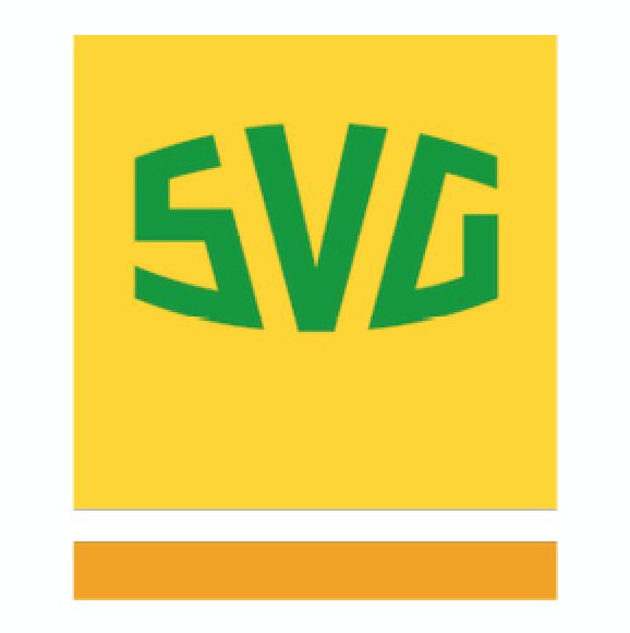 Straßenverkehrsgenossenschaft (SVG)